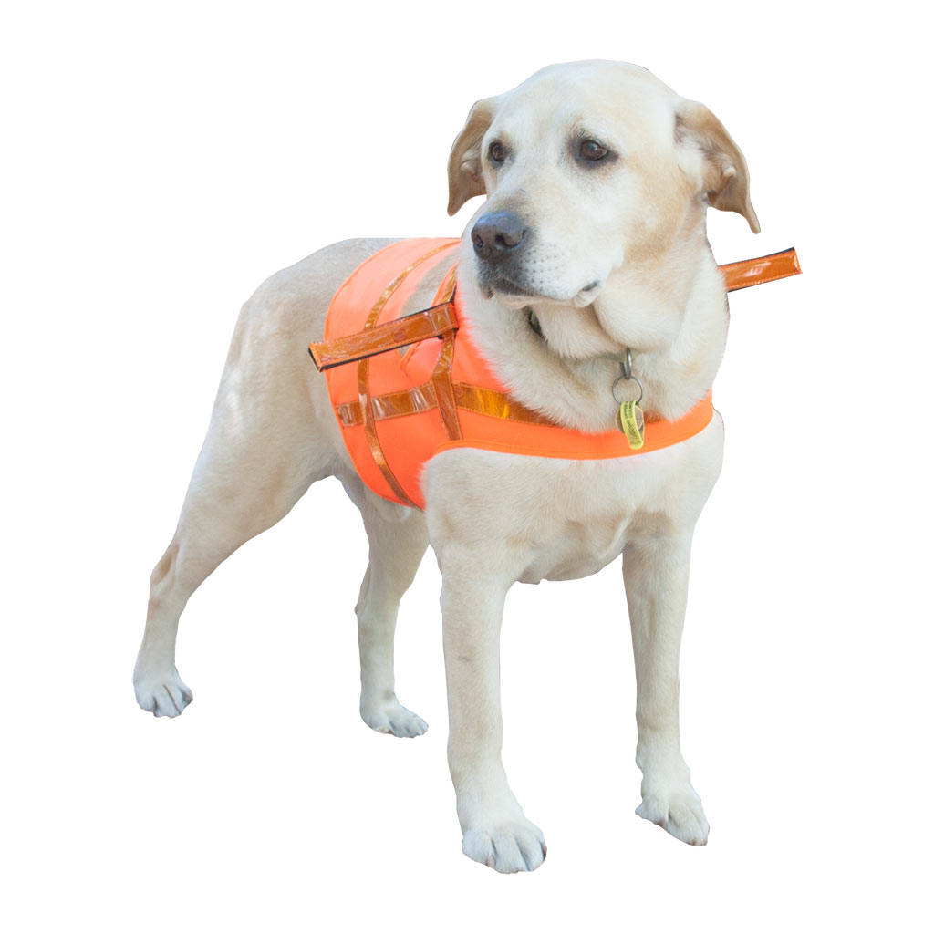 IRIS-Detectable Dog Vest